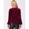 Allegra K Women's Velvet Cowl Neck Lantern Sleeve Tops - 3 of 4