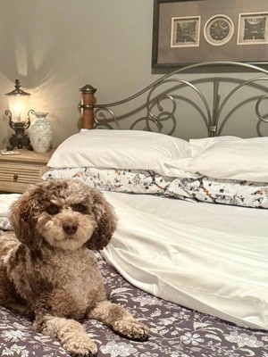 Guest review image 1 of 1, zoom in