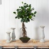 Nearly Natural 2-ft Ficus Bonsai Artificial Tree in Decorative Planter - 3 of 4