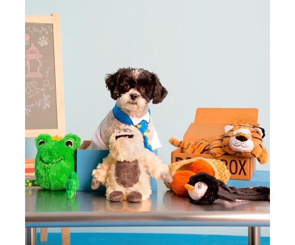 BARK Best Ever Dog Toys & Treats