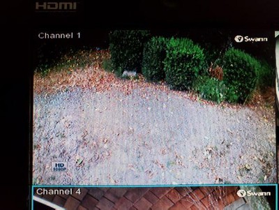 Guest review image 6 of 6, zoom in