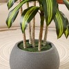 DR.Planzen 7ft UV Resistant Artificial Dracaena Tree with Gray Tall Planter, Pre Potted Fake Plants for Indoor Outdoor Home Decor, Big Faux Tree - 4 of 4