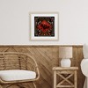 Stupell Industries Fright Night Bat & Botanicals Framed Print Under Glass - 3 of 4