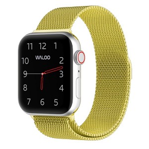 Waloo Magnetic Mesh Band For Apple Watch Series 10/9/8/7/6/5/4/3/2/1/SE/Ultra - 1 of 2