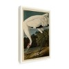 Trademark Fine Art -John James Audubon 'Whooping Crane' Canvas Art - 4 of 4