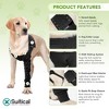Suitical Recovery Single Sleeve for Dogs - Chest Circumference, Black - 3 of 4