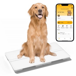 unipaws Digital Pet Scale 650lb - 1 of 4