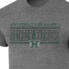 NCAA Hawaii Rainbow Warriors Men's Gray Tri-Blend T-Shirt - 3 of 3
