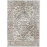Rugs America Leopold Oriental Transitional Area Rug