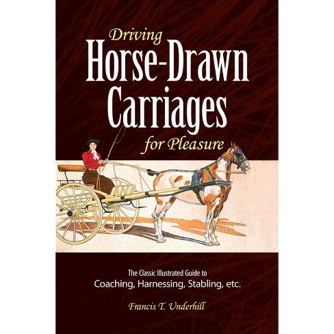 Carriage Driving & Pleasure Driving - The British Association for the Pure  Bred Spanish Horse