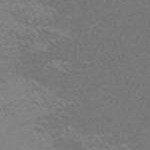 Elephant Gray