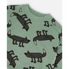Deux par Deux Boy Printed Pullover French Terry Sweatshirt Gray Wolf on Teal Background - 4 of 4
