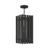 Livex Lighting Greenwich 1 - Light Pendant in  Black/Satin Brass - 4 of 4