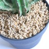 32 Inch Artificial Cactus Plant With Planter Desert Cacti Artificial Cactus Artificial Floor Plant In Pot For Home Office Garden Indoor Outdoor Decor - 4 of 4