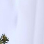 gingerbread snowflake