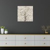 iCanvas Bloom Tree by Asia Jensen Canvas Print Wall Art - 3 of 3