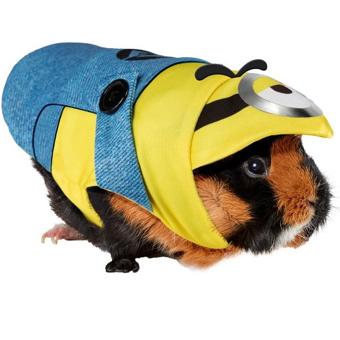  Rubie's DC League of Super Pets Lulu Small Pet Costume, As  Shown, Extra-Small : Pet Supplies