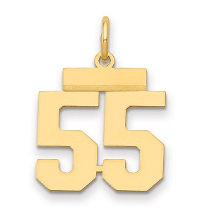 Black Bow Jewelry 14k Yellow Gold, Athletic Collection, Small Polished Number 55 Pendant - 1 of 3