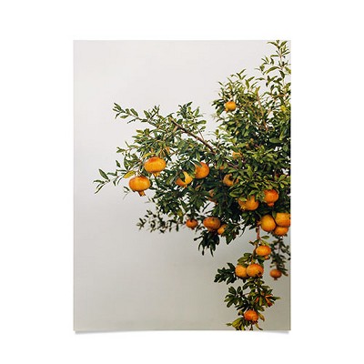 Romana Lilic / LA76 Photography Pomegranates 18" x 24" Poster - Society6