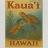 Rerun Island Women's Kauai Hawaii Turtles Short Sleeve Graphic Cotton Retro Vintage Ranger Baby Tee - White Caviar 2X - 2 of 4