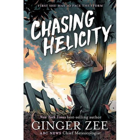 chasing helicity book 3