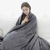 Costway Home Weighted Blanket Crystal Velvet Fabric w/Glass Beads 60''x 80'' Grey - 2 of 4