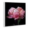 Stupell Industries Blooming Rose on Black, 12" x 12" - 3 of 4