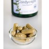 Swanson Herbal Supplements Cordyceps 600 mg Capsule 120ct. - 3 of 4