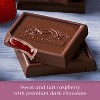 GHIRARDELLI Dark Chocolate Raspberry Candy SQUARES - 6.38oz - 4 of 4