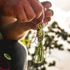 Arbogast Hula Popper 3/8 oz Fishing Lure - Coach Dog/Orange Belly - 2 of 2