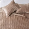 Isla Jade Twin/Twin Extra Long Stitch Velvet Quilt Bedding Set Brown - 3 of 4