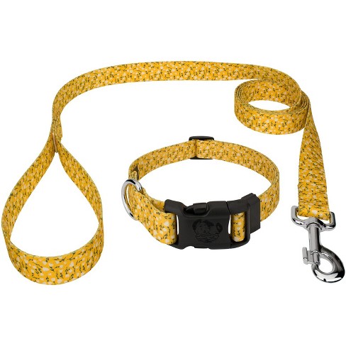 Country Brook Petz Deluxe Brisk Autumn Dog Collar - Made in The U.S.A. (5/8  Inch, Small)