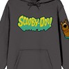 Scooby Doo Character Chenille Patch Long Sleeve Charcoal Hooded Sweatshirt - 3 of 3