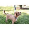 Country Brook Petz Deluxe Duty Honor Country Dog Collar - Made in the U.S.A. (1/2 Inch, Extra Small) - 2 of 4