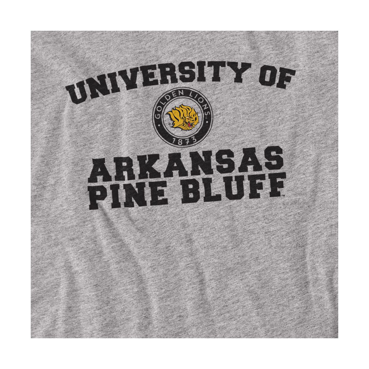 Men's University of Arkansas at Pine Bluff Official Circle Logo T-Shirt - thumbnail 2