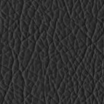 washington state cougars