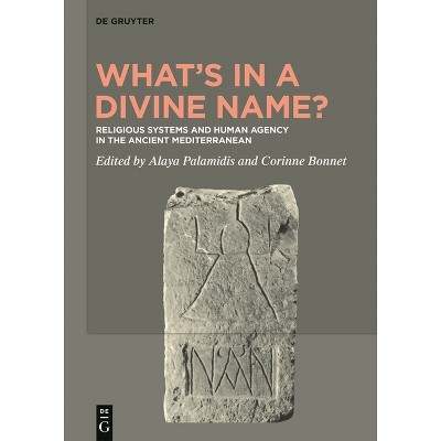 What's in a Divine Name? - by  Alaya Palamidis & Corinne Bonnet (Hardcover)