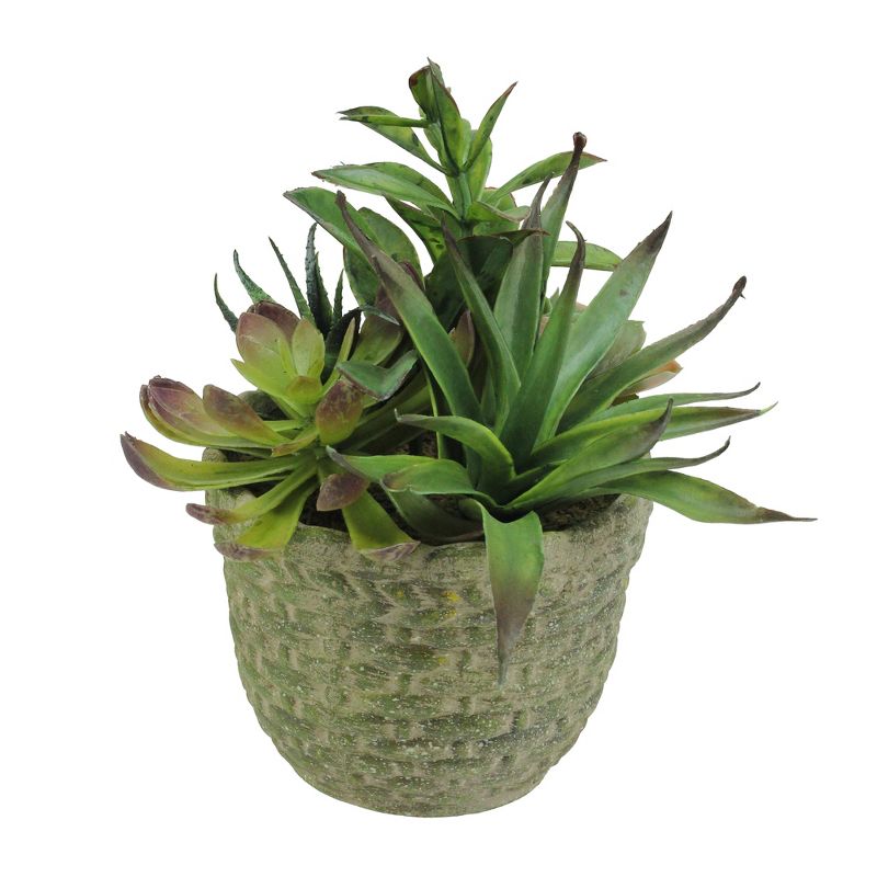 Northlight 8.5" Mixed Succulent Artificial Potted Arrangement - Green/Brown, 1 of 3
