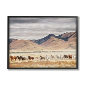 Stupell Industries Wild Horses Roaming Across Western Landscape - 1 of 4