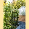 Gardeners Supply Company Titan Tomato Cages I Sturdy Steel Core Plant Support Trellis Cage Protection for Climbing Plants, Vegetable Garden & Tomato - 2 of 4