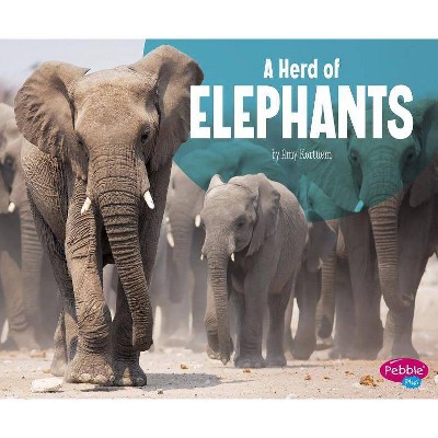 A Herd of Elephants - (Animal Groups) by  Amy Kortuem (Paperback)