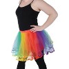 Beistle Rainbow Tutu, (1/Pkg) Multicolored - 2 of 2