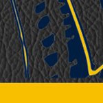 michigan wolverines