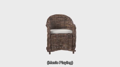 Modern Variegated Brown Rattan Club Chair with Cushions
