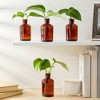 Farmlyn Creek 6 Pack Glass Bottles, Vintage Style Pharmacy Bottles, Home Décor, 2.5 x 4.8 in - 3 of 4