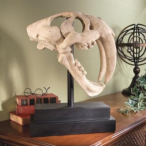 Design Toscano Saber-toothed Tiger Skull Artifact - 1 of 4