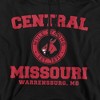 University of Central Missouri Official Circle Logo Adult Pull-Over Hoodie - 2 of 4