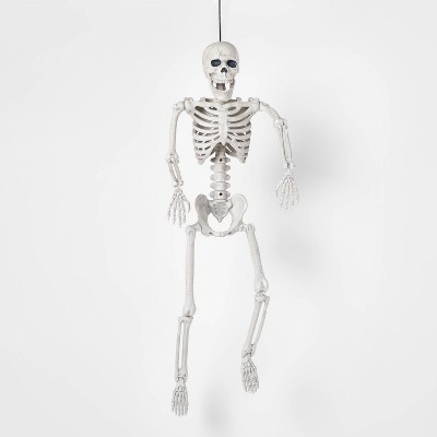 24" Posable Skeleton M Halloween Decorative Mannequin - Hyde & EEK! Boutique™