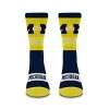 NCAA Michigan Wolverines Mixer Crew Socks: Cushioned Heel & Toe, Knit Fabric - 2 of 3