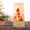 Stony Creek 10.0 Inch Snowman Friends Pre-Lit Vase Kitten Squirrel Bunny Deer Novelty Sculpture Lights - 2 of 4